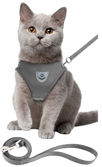 AdventureKit - Veilig Tuigje voor Avontuurlijke Katten