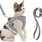 AdventureKit - Veilig Tuigje voor Avontuurlijke Katten