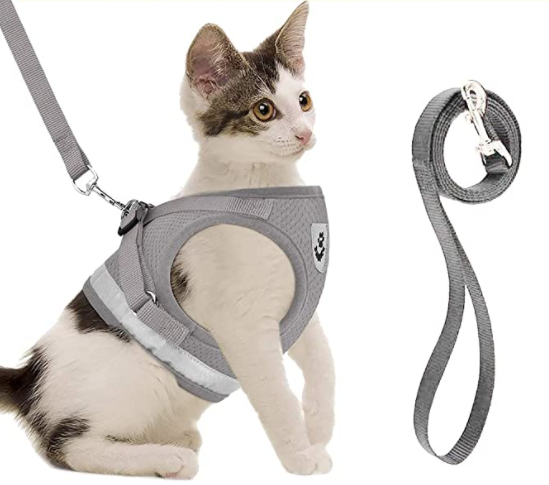 AdventureKit - Veilig Tuigje voor Avontuurlijke Katten