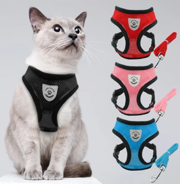 AdventureKit - Veilig Tuigje voor Avontuurlijke Katten