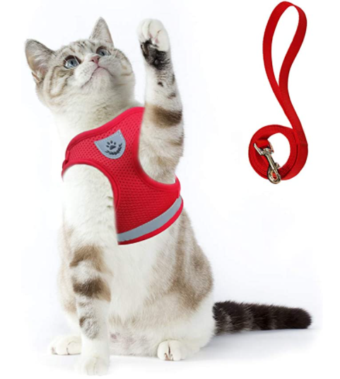 AdventureKit - Veilig Tuigje voor Avontuurlijke Katten