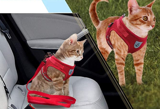 AdventureKit - Veilig Tuigje voor Avontuurlijke Katten