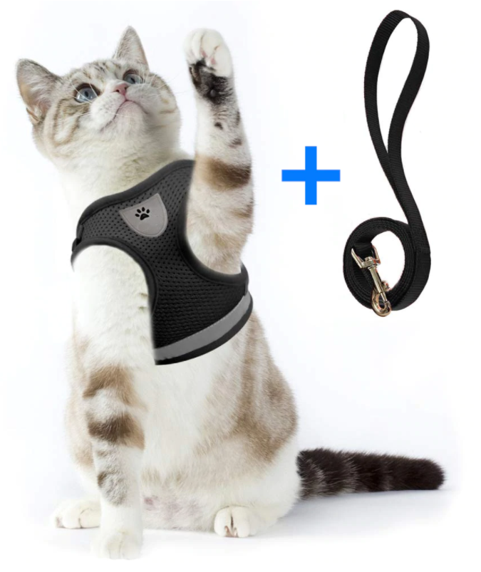 AdventureKit - Veilig Tuigje voor Avontuurlijke Katten