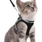 AdventureKit - Veilig Tuigje voor Avontuurlijke Katten