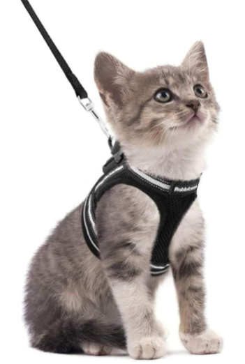 AdventureKit - Veilig Tuigje voor Avontuurlijke Katten