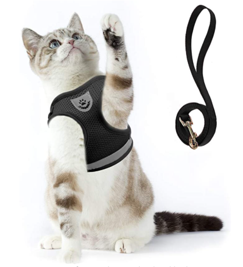AdventureKit - Veilig Tuigje voor Avontuurlijke Katten