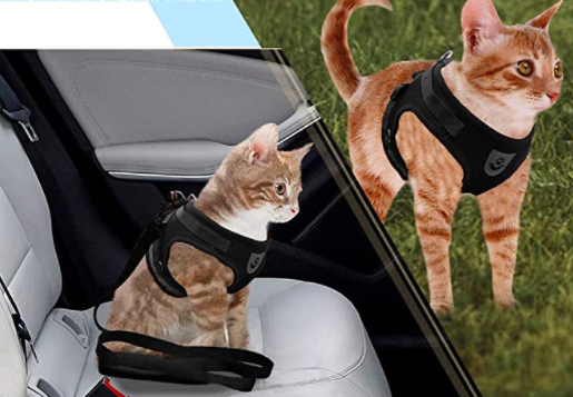 AdventureKit - Veilig Tuigje voor Avontuurlijke Katten