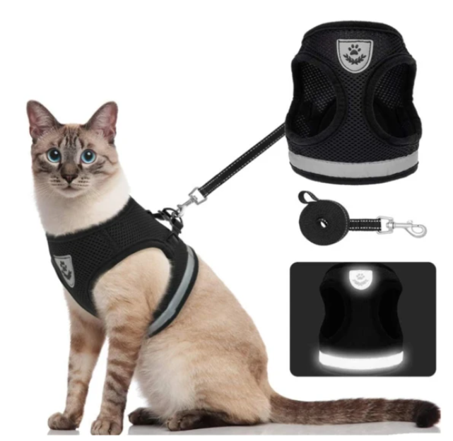 AdventureKit - Veilig Tuigje voor Avontuurlijke Katten