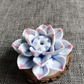 LotusBloom Incense Holder - Elegante Geuraccessoire voor Thuis