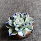 LotusBloom Incense Holder - Elegante Geuraccessoire voor Thuis