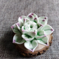 LotusBloom Incense Holder - Elegante Geuraccessoire voor Thuis