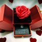 TimelessLove Set - Herinnering aan Eeuwige Verbondenheid
