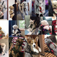 TravelBuddy Carrier – Luxe Dierenreistas met Comfort