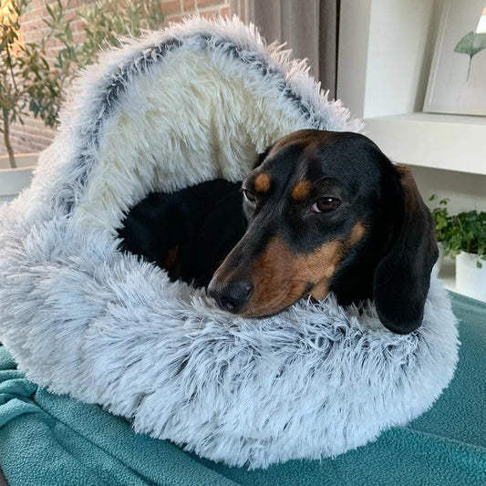 LuxePet Bed - Premium Comfort voor Huisdieren