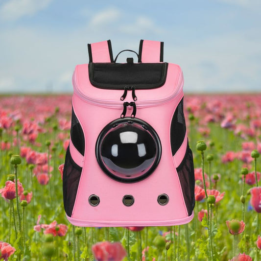 CatTrekker - Luxe Kattenreistas met Panoramisch Uitzicht