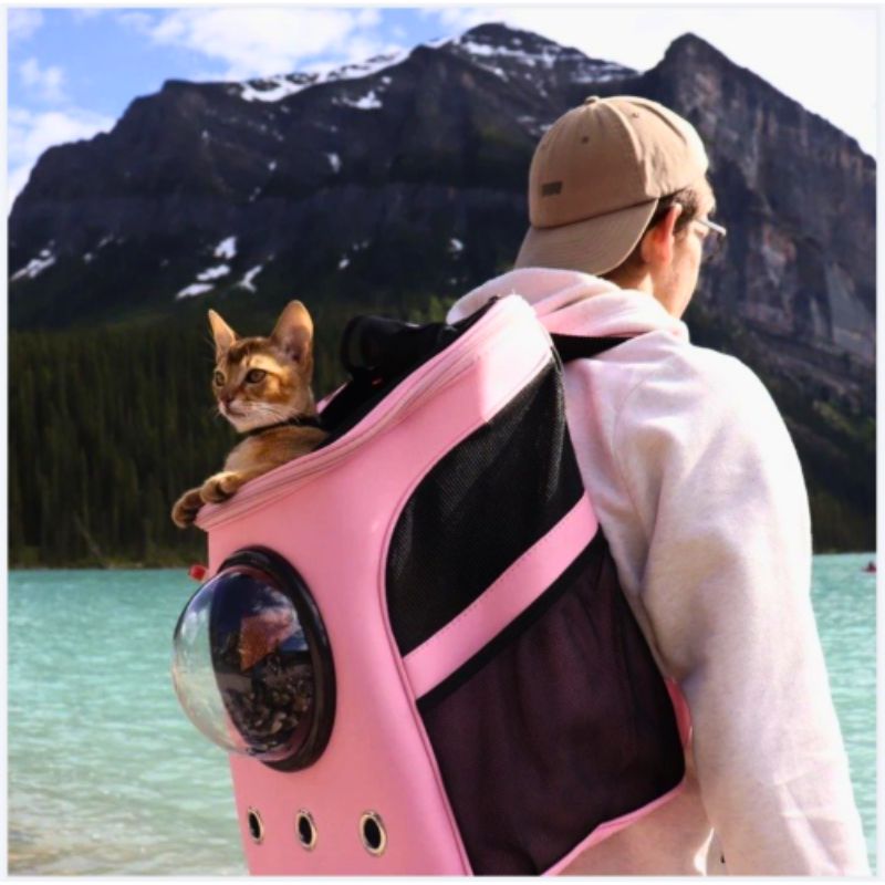 CatTrekker - Luxe Kattenreistas met Panoramisch Uitzicht