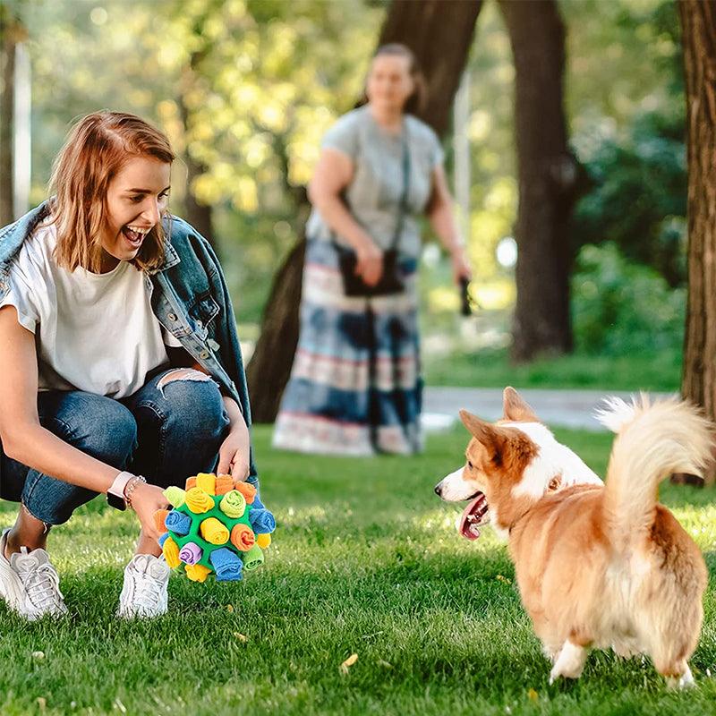 SnuffleFun – Speels en Educatief Snuffelspel voor Huisdieren