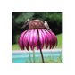FloraFeeder Bird Feeder – Elegant Tuindecoratie voor Vogels