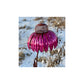 FloraFeeder Bird Feeder – Elegant Tuindecoratie voor Vogels